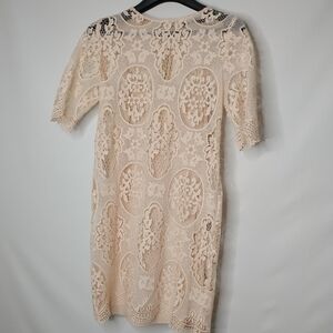 Zara Nude Pink Lace Dress